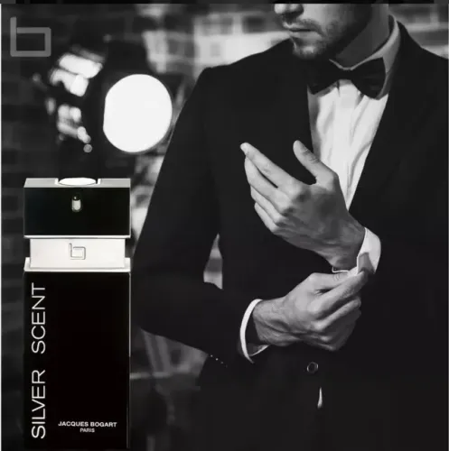 Perfume Silver Scent S3553
