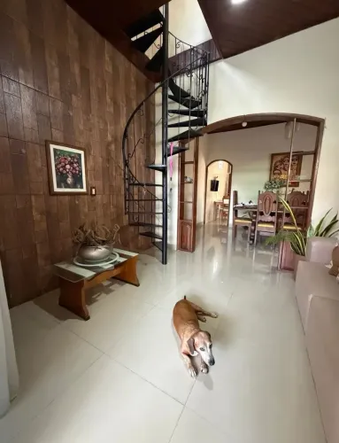 Casa em Cremação - Belém