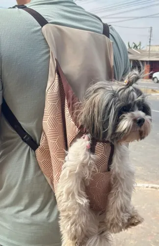 Canguru para cachorro