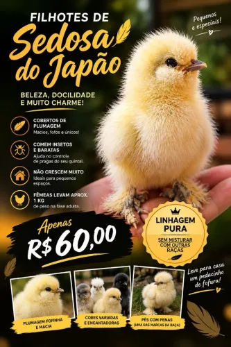 Sedosa do Japão