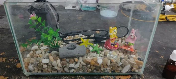 Aquário completo