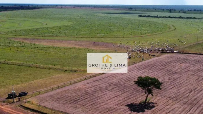 Vendo Fazenda à venda na região do município de Nova Mutum/MT