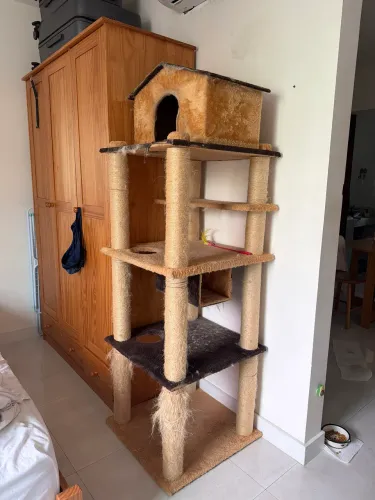 Casa para gatos