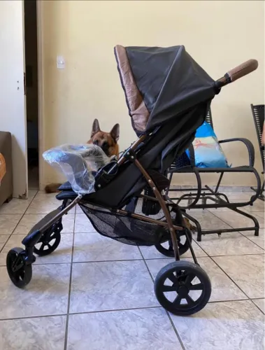 CARRINHO DE BEBÊ GALZERANO
