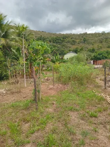 Vendo terreno ( Bicuda Grande ) Direto com proprietária