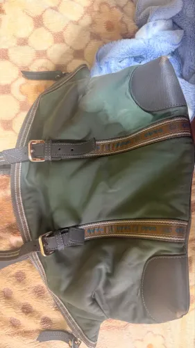 Bolsa saad usada 