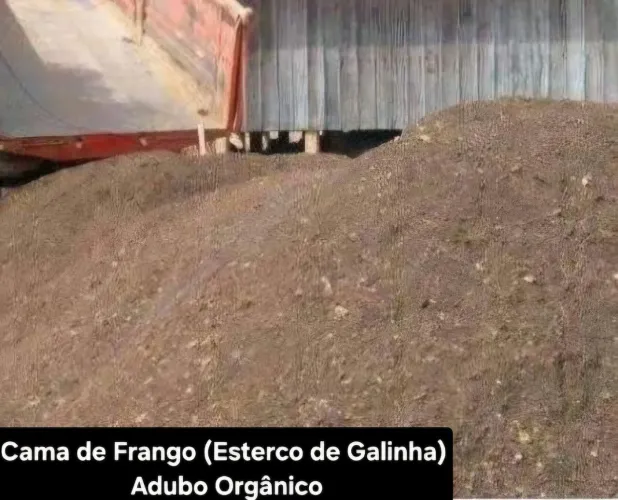 Cama de Frango (Esterco de Galinha) Adubo Orgânico