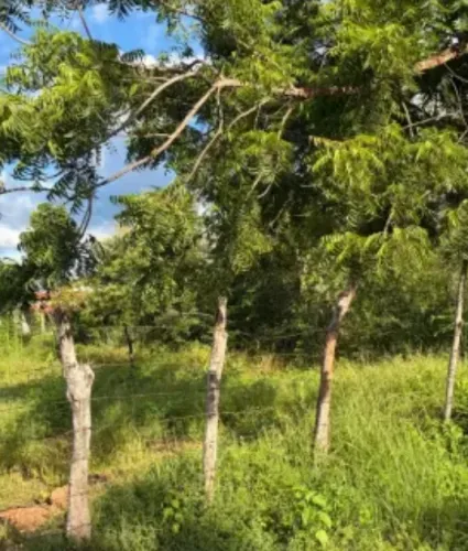 Terreno para sítio 40×100