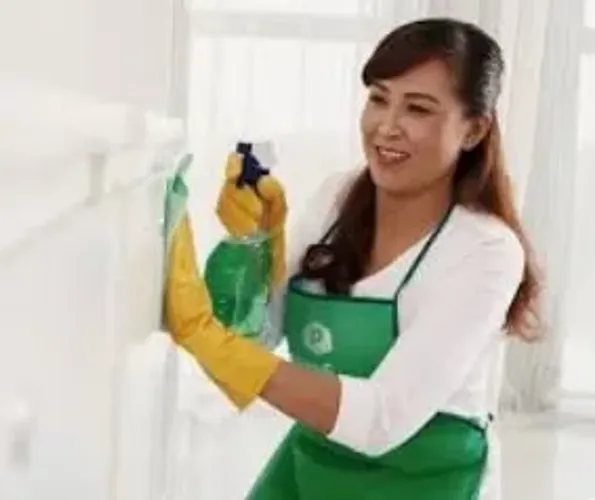 Domestica Meio Periodo