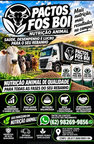 Pactos fos boi nutrição animal