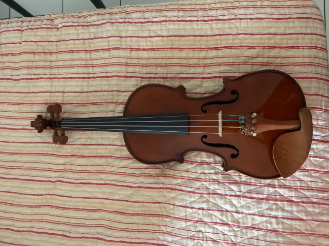 Violino Eagle ve 441, 8 meses de uso. Aceito ofertas
