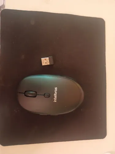 MOUSE
