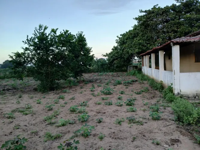 Vendo uma granja no município de Macaíba