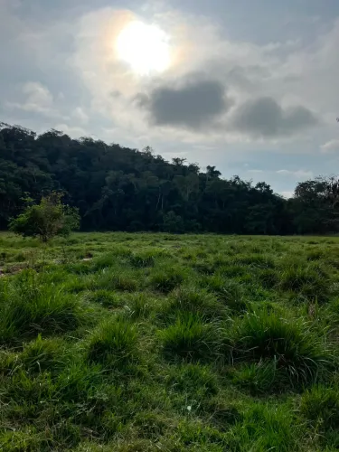 Propriedade a venda com 18 alqueires em Mimoso do Sul, ES