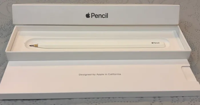 Apple Pencil - 2ª Geração - Conservado