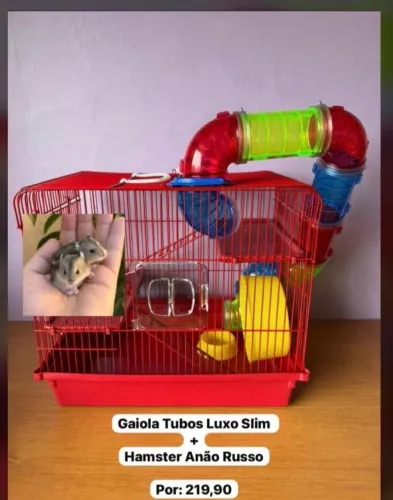 Vendo hamster com gaiola mais acessórios