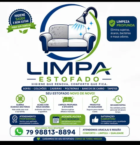 Higienização profissional de Estofy
