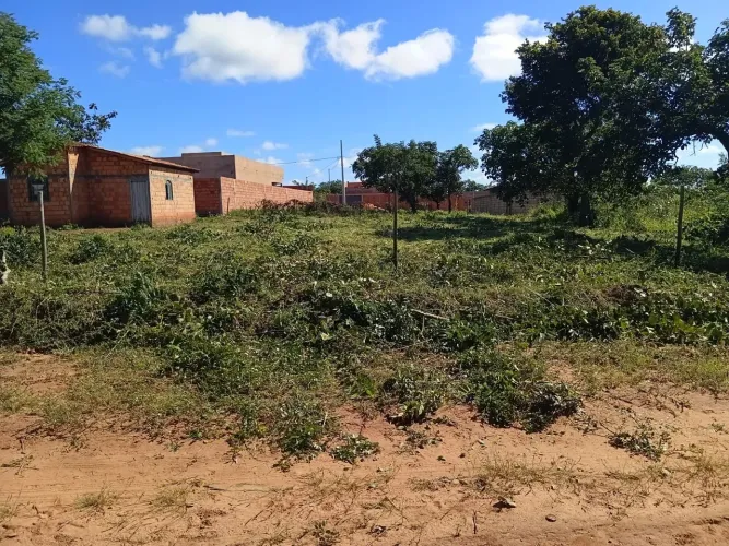 Lote Mirabela 