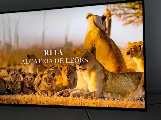 TV LG 55 POLEGADAS NOVA R$ 2.000,00