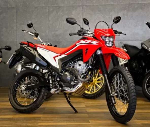 HONDA XR 300 TORNADO 2024/2025
