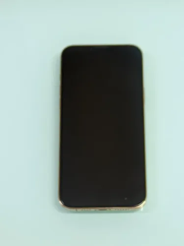 iPhone 13 Pro Max novinho