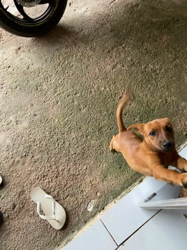Doação