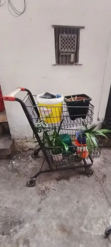 Carrinho de compras 