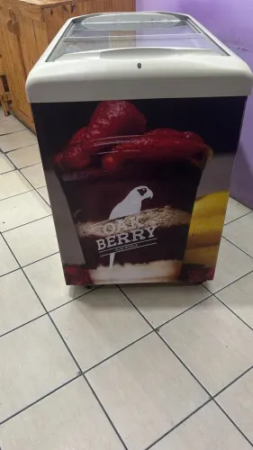 freezer expositor para sorvete/açai