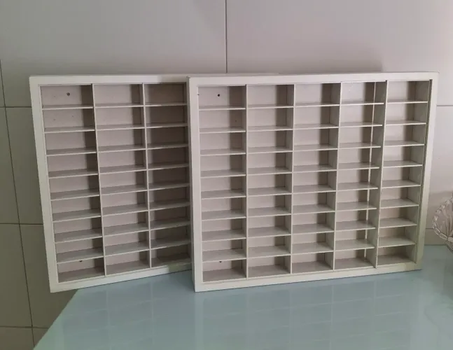 Organizador 