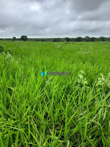 FAZENDA À VENDA - 4.007 HECTARES - REGIÃO DE JANAÚBA (MG)