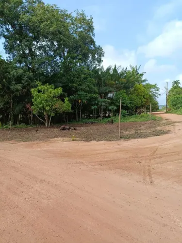 Terreno Em Cametá em Aripijo Vila do Carmo
