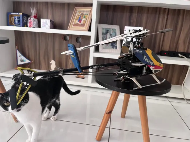Helicóptero T REX 450 