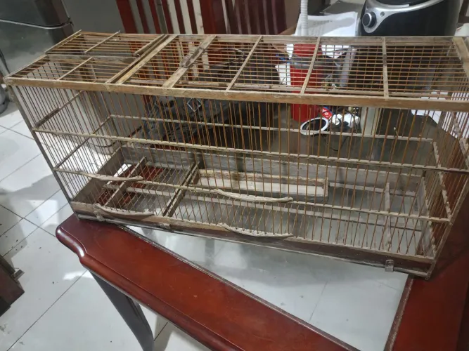 Vendo essa gaiola