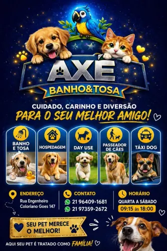 Banho e Tosa para Pets