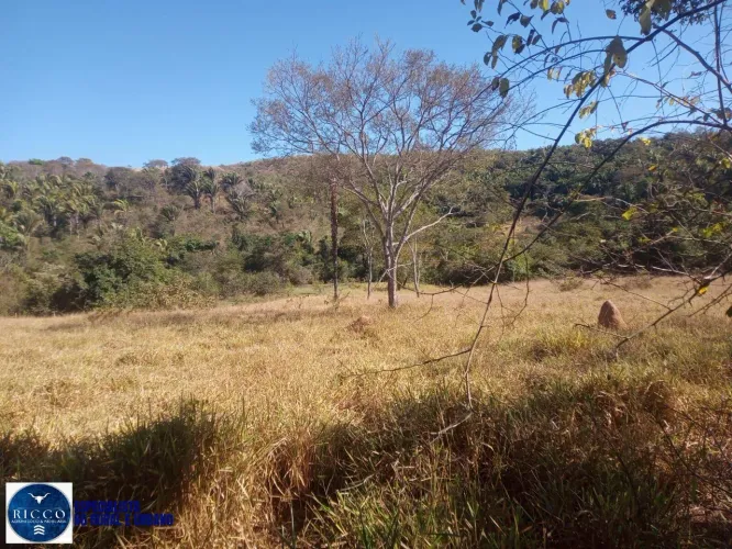 FAZENDA À VENDA EM GIRASSOL  COCALZINHO DE GOIÁS | 143,68 HECTARES