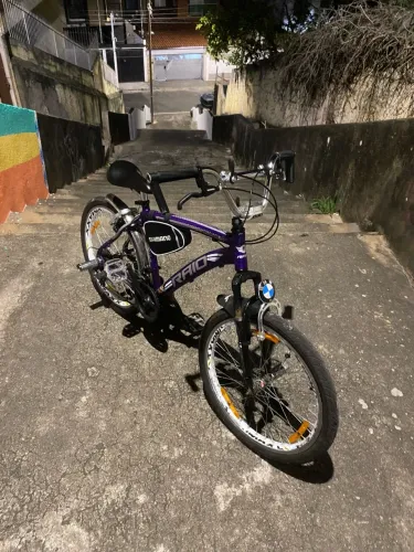 bike raio aro 24