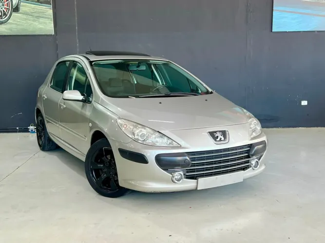 Peugeot 307 Soleil/ Presence 1.6/1.6 Flex 16V 5P 2009