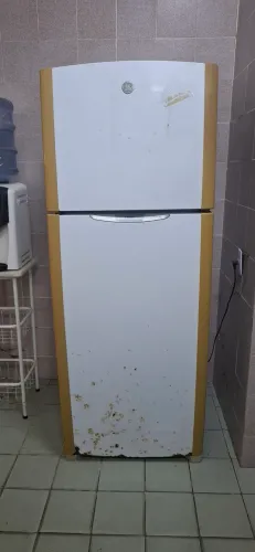 Geladeira frost free fresa 410L