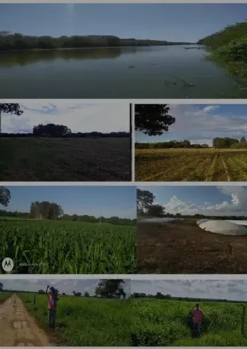 Curvelo/Mg - Fazenda 530 hectares - R$13.250.000,00