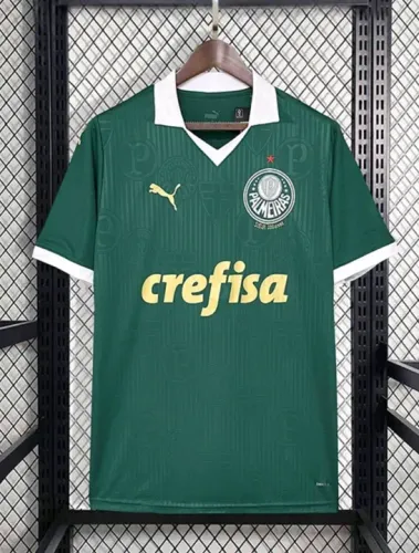 Camisa do palmeiras 24/25