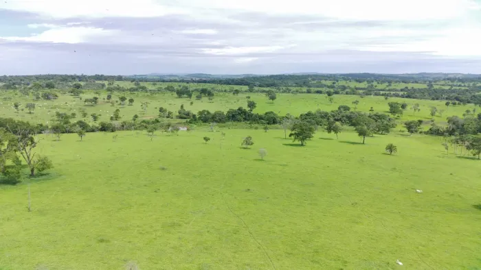 Fazenda de 211 alqueires próximo a Petrolina-Go