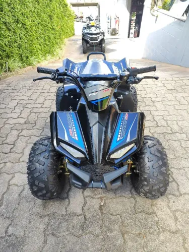 Quadriciclo Brave 110