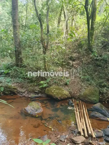Cota em AgroFloresta em Souza, Rio Manso, 64.000 m²; com nascente, floresta produtiva e vi