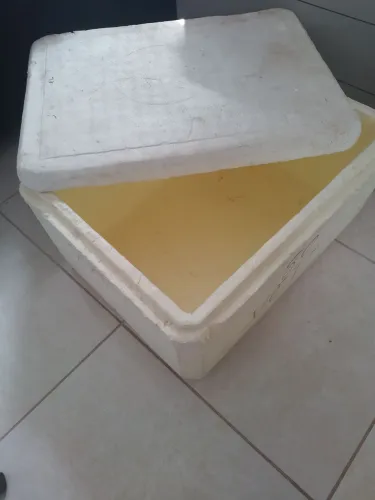 Caixa de Isopor 100 lts com dreno