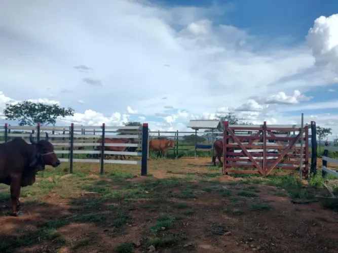 Fazenda em Arcoverde/PE à Venda (FA0198-DV)
