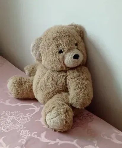 Urso de Pelúcia 