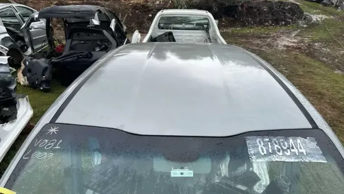 Retalho Teto Fiat Argo 1.3 8v 2019 Original *65 Dtlh