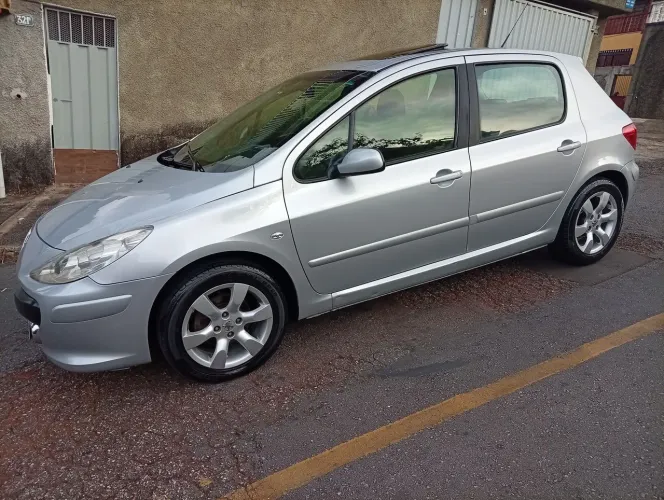 Peugeot 307 Soleil/ Presence 1.6/1.6 Flex 16V 5P 2009