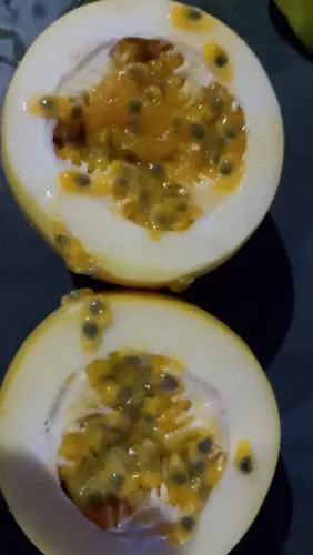 Polpas de maracujá