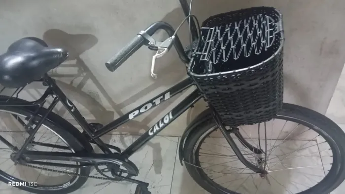 Bicicleta poti reformada sem nada pra fazer
